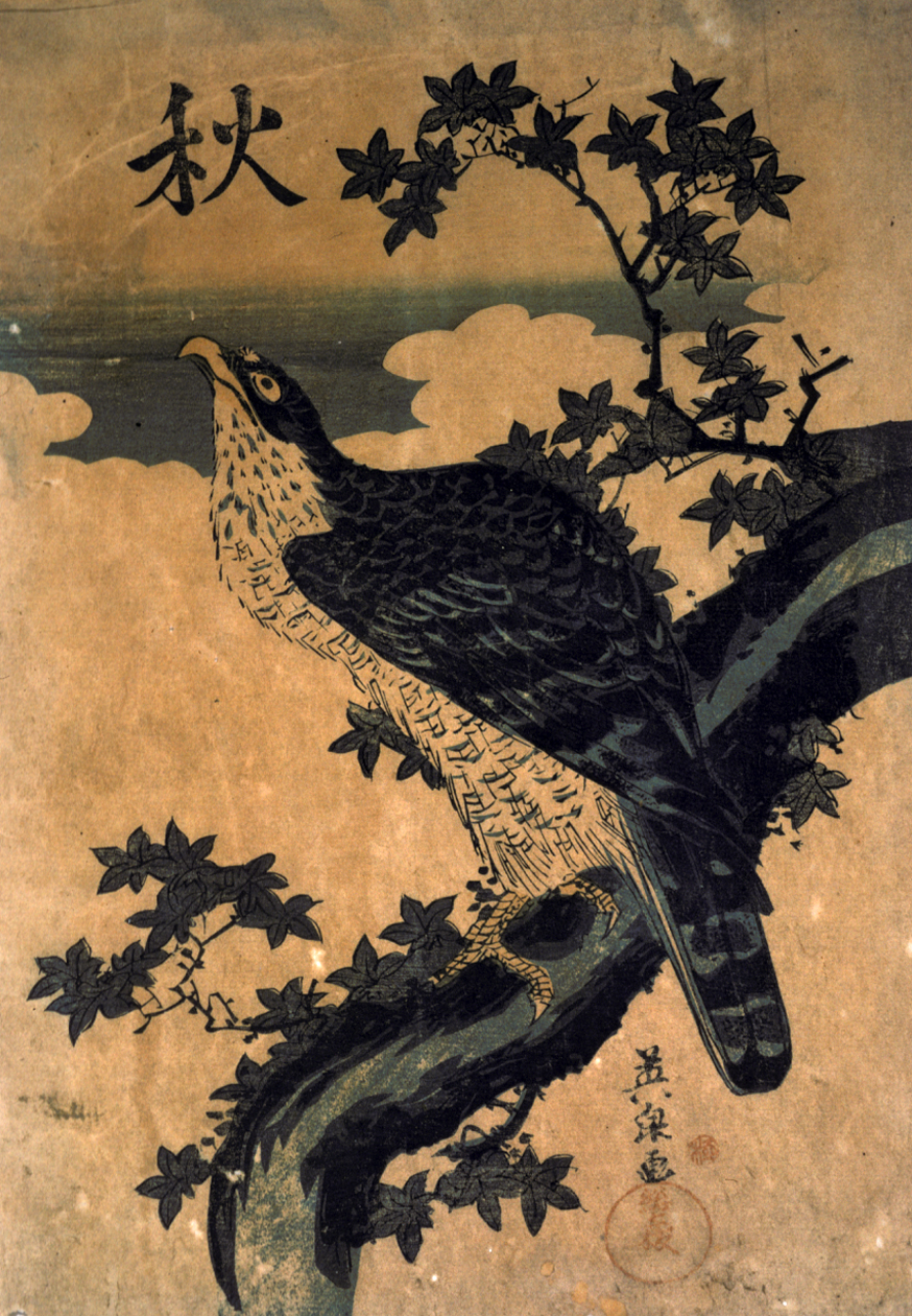 Collections | Jordan Schnitzer Museum of Art