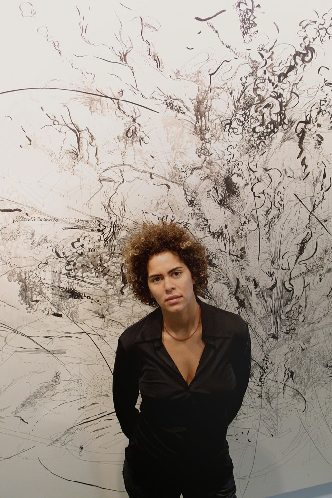 
		
			<a href="https://www.mariangoodman.com/artists/51-julie-mehretu/"
				target="_blank">Mehretu at the Marian Goodman Gallery, New York
			“I refrain from trying to explain what’s going on in the paintings because they’re not these rational descriptions or efforts to articulate something in that way. I’m not trying to spell out a story,” <a href="https://art21.org/watch/art-in-the-twenty-first-century/s5/julie-mehretu-in-systems-segment/"
				target="_blank">Mehretu told Art21 in a 2009 video interview on identity, influence, and process as her studio prepares for upcoming exhibitions and installations. Mehretu wants to “make you feel the painting. The reason you read the mark is because you also feel the mark.”
			Speaking with <a href="https://www.artsatl.org/artist-julie-mehretu/"
				target="_blank">indie arts publication ARTSATL in 2014, Mehretu explains the immersive quality of her work: “because of their scale, they still require you to physically negotiate with them and move through them and travel through them, but it’s not as if you can ever get a full perspective…[if you] think of painting as a kind of time-based experience, a time-based media, then you can really participate with it .”
			<a href="https://museumofnonvisibleart.com/interviews/julie-mehretu/"
				target="_blank">Listen to Mehretu’s 2016 interview with Yale University Radio 
			In 2017, Mehretu embarked on <a href="https://nyti.ms/2umb9yu"
				target="_blank">an unprecedented commission of two monumental site-specific works at SFMoMA. Titled <a href="https://www.sfmoma.org/exhibition/julie-mehretu-HOWL-eon-I-II/"
				target="_blank">HOWL, eon (I, II), the multi-media paintings explore and express the inextricable relationship between history, politics, and landscape painting. “There is no such thing as just a landscape,” she tells <a href="https://art21.org/watch/extended-play/julie-mehretu-politicized-landscapes-short/"
				target="_blank">Art21 in a video interview, “the actual landscape is politicized through the events that take place on it.” Watch her <a href="https://www.sfmoma.org/watch/julie-mehretu-artist-talk/"
				target="_blank">artist talk at the unveiling.
			In November 2019 Mehretu’s first comprehensive retrospective, a mid-career survey, <a href="https://artdaily.com/news/118114/The-Los-Angeles-County-Museum-of-Art-opens-a-mid-career-survey-of-Julie-Mehretu-s-work"
				target="_blank">debuted at LACMA. It is scheduled to tour nationally through 2021.
		
	